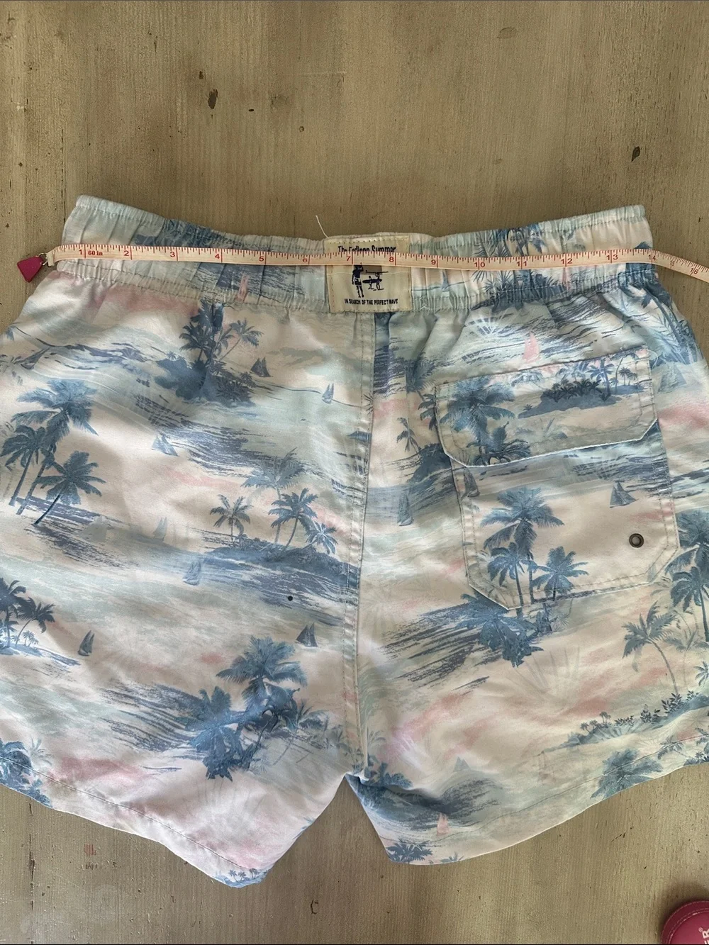 The Endless Summer Swim Shorts SZ XS